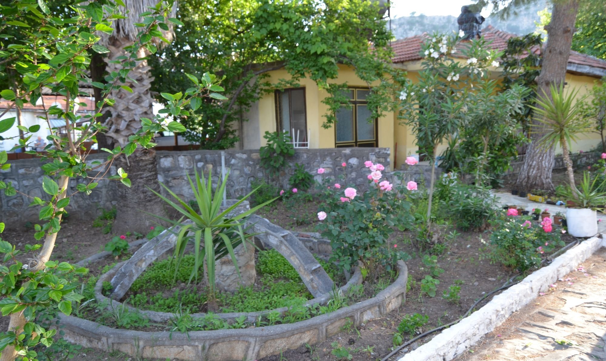Dalyan Patio Hotel Kültér fotó